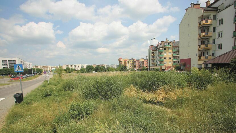 Planiści z Ratusza chcą dopuścić zabudowę mieszkaniową trójkątnego terenu między ul. Relaksową a blokiem przy Tarasowej 6