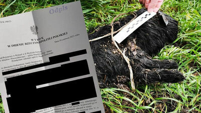 Eugeniusz P. został skazany na bezwzględne więzienie