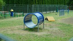 Wybieg dla psów w Świdniku