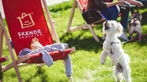 Wszystko o szczeniakach w SKENDE