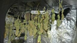 Lubelskie. Dwóch młodych mężczyzn i suszarnia marihuany