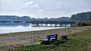Na początku sierpnia na plaży pojawią się palmy. Będą zimowały w OSiR albo zoo