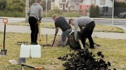 Trudno znaleźć w Lublinie miejsce na 1000 drzew