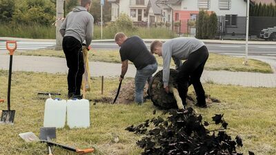 Trudno znaleźć w Lublinie miejsce na 1000 drzew