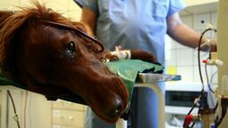 Zdjęcie ilustracyjne