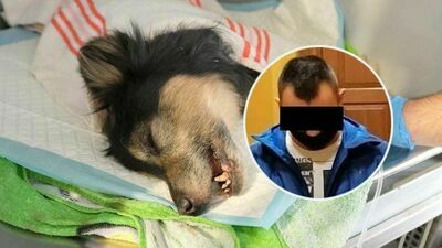 Jerzy B. został skazany na 2,5 roku więzienia.