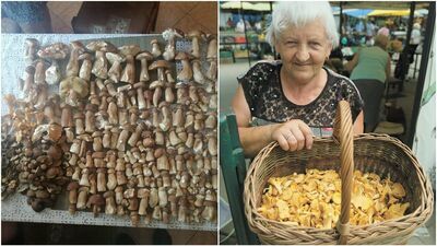 Z lewej: Paweł Dysput był na grzybach w okolicach Nałęczowa
Z prawej: Na targu przy ulicy Ruskiej małe opakowanie kurek można kupić za 10 zł