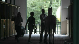 Śledztwo w sprawie stadniny w Janowie Podlaskim przedłużone o pół roku. Po raz kolejny