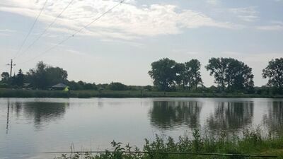 To stanowisko wędkarskie na zawodach zorganizowanych w Markuszowie. Niemal dokładnie pod linią energetyczną. Władze koła wędkarskiego przyznają, że był to błąd, którego można było uniknąć