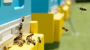 Zdjęcie ilustracyjne