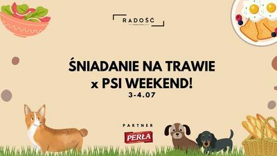 Psi weekend i śniadanie na trawie w Radości