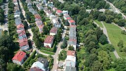 Teren między ul. Głęboką a Filaretów, zdaniem Urzędu Miasta, nie nadaje się na psi wybieg ze względu na cenny drzewostan