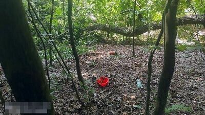 Lubelskie. Mężczyzna zginął przygnieciony drzewem