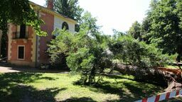 Drzewo uszkodziło jeden z najcenniejszych zabytków Puław