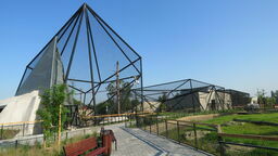 Wielkie otwarcie w zoo w Zamościu. Flamingi się spóźnią, ale mają wymówkę