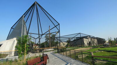 Wielkie otwarcie w zoo w Zamościu. Flamingi się spóźnią, ale mają wymówkę