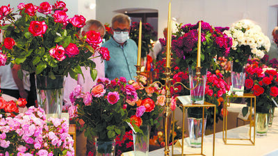 Kwiaty, barokowe tańce i... szczepionki dla każdego. Święto Róż w Końskowoli [program]