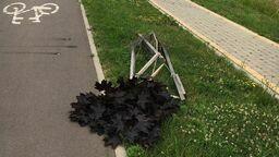 Poprzewracane i wyrwane drzewka nad bulwarem