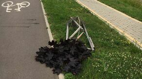 Poprzewracane i wyrwane drzewka nad bulwarem