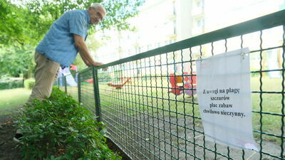 Plac zabaw trzeba było zamknąć, bo opanowały go szczury