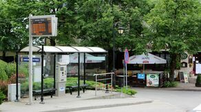 Skład Rady Gminy Janowiec czeka korekta. Data wyborów uzupełniających w okręgu nr 12 nie została jeszcze ustalona