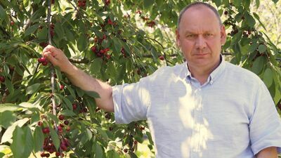 Mirosław Korzeniowski  