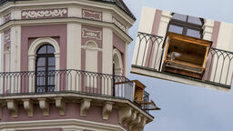 Sokoły zadomowiły się na Ratuszu w Zamościu