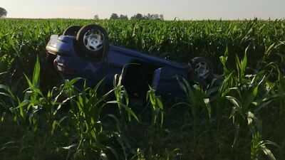 Dachowanie peugeota w kukurydzy. Ranna młoda kobieta