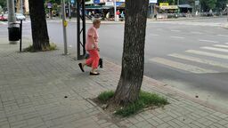 Lublin: Czy tym drzewom można pomóc? "Nie mają szans przetrwać"