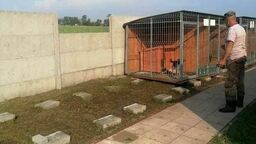 Lubelskie. Trąba powietrzna zdemolowała schronisko dla zwierząt. Zabrała kojce z psami