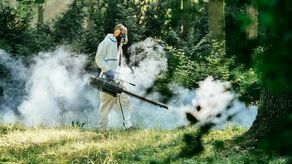 Lublin: Będą odkomarzać po raz drugi. Pod warunkiem, że nie będzie padać