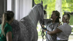Brodnica, Pustynna Noc... W niedzielę sławna Pride of Poland