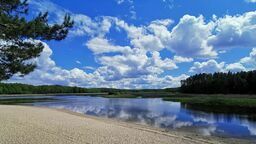 Stawy Echo będą na trasie wycieczek ornitologicznych