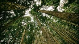 Zdjęcie ilustracyjne