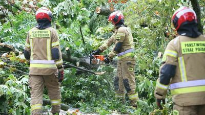 1,5 mln zł strat po przejściu burzy nad Lublinem. Podsumowanie strażaków