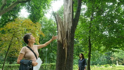 "Szczytem partactwa jest staw". Masa niedoróbek po remoncie parku w Lubartowie za 11 mln zł