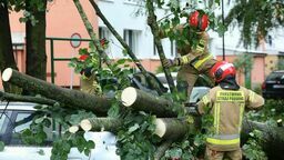 Lubelskie. Bilans nawałnic rośnie, a na liczniku już 340 interwencji