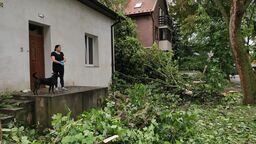 – Dobrze, że nie spadło na dom – panią Agnieszkę Mańkowską spotkaliśmy dzisiaj rano przed swoją posesją przy ul. Czaplińskiego na Czechowie. – Od 3 nie śpimy, bo się tak przestraszyliśmy. Pierwsze drzewa poleciały, a potem to już z tych nerwów uciekliśmy na drugą stronę domu, bo się bałam, że na nas wszystko poleci – opisuje kobieta. Jej posesja ma całkowicie uszkodzone ogrodzenie oraz częściowo bramę wjazdową. Gałęzie spadły też na zaparkowany koło domu samochód. Uszkodzona została w nim przednia szyba i dach