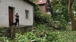 – Dobrze, że nie spadło na dom – panią Agnieszkę Mańkowską spotkaliśmy dzisiaj rano przed swoją posesją przy ul. Czaplińskiego na Czechowie. – Od 3 nie śpimy, bo się tak przestraszyliśmy. Pierwsze drzewa poleciały, a potem to już z tych nerwów uciekliśmy na drugą stronę domu, bo się bałam, że na nas wszystko poleci – opisuje kobieta. Jej posesja ma całkowicie uszkodzone ogrodzenie oraz częściowo bramę wjazdową. Gałęzie spadły też na zaparkowany koło domu samochód. Uszkodzona została w nim przednia szyba i dach