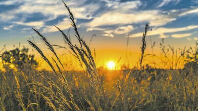 Zdjęcie ilustracyjne