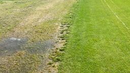 Obecny stan murawy na płycie stadionu