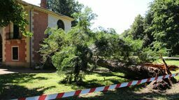 Eksponaty nie ucierpiały, ale Dom Gotycki w Puławach wymaga naprawy