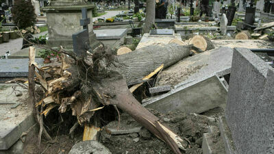 Po wielkiej burzy w Lublinie. Zabytki też ucierpiały