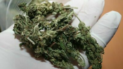 Na komisariat w Lublinie przyszedł pan. Miał reklamówkę od znajomego