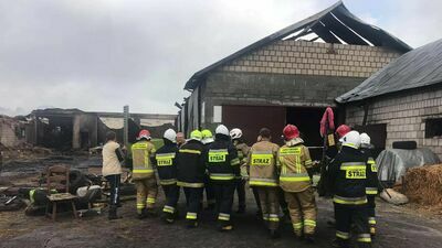 Olbrzymi pożar koło Łukowa od uderzenia pioruna. Zostały tylko zgliszcza