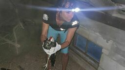 Zdjęcie z interwencji