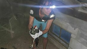 Zdjęcie z interwencji