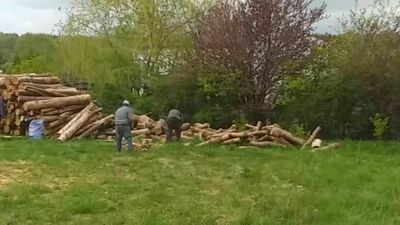 Za ich płotem ciągły hałas rżniętego drewna. Nie da się żyć