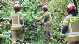 Zdjęcie ilustracyjne