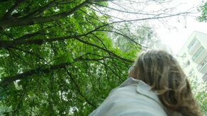 Kiedy spółdzielnia przymierza się do cięcia drzew, pani Alina z Czechowa staje w ich obronie